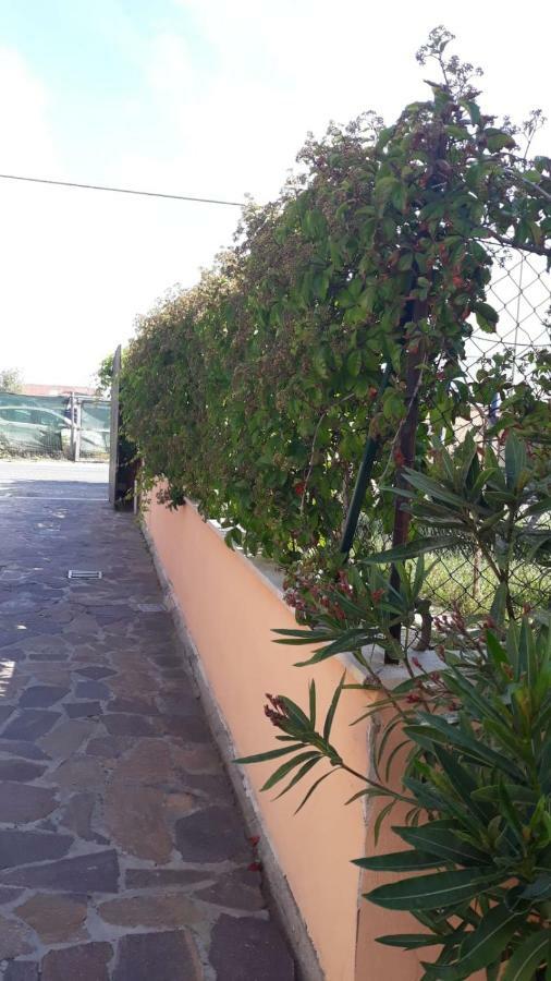 B&B Fiumicino Airport Resort Екстериор снимка